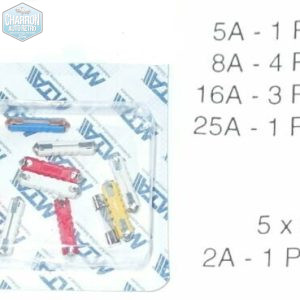 assortiment de 10 fusibles stéatite