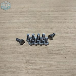 vis inox de cache culbuteurs V4 cologne , kit de 10
