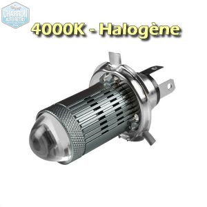 Ampoule H4 LED -- Couleur "halogène" - 4000K - 1500 lumens - Unité | Pour réflecteurs détériorés