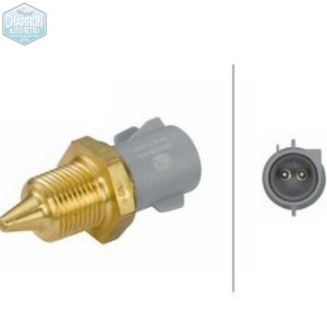 Sonde température d'eau | Escort Cosworth | Ref : 351i55507PLB